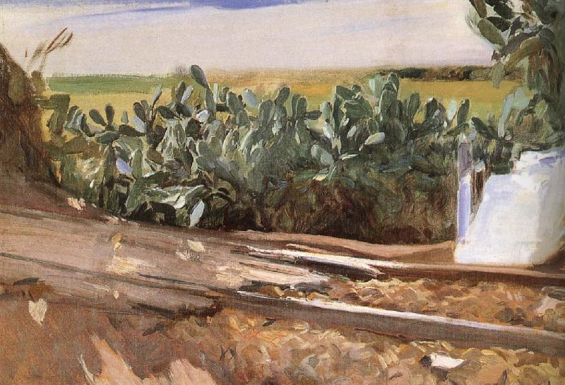 Joaquin Sorolla Roadside grass oil painting picture